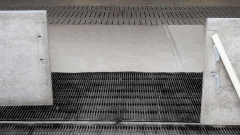 市场现状：宠物经济崛起，细分市场潜力巨大