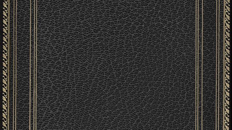 Shopify外贸独立站搭建：价格背后的考量因素